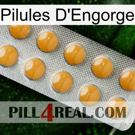 Engorge Pills levitra1